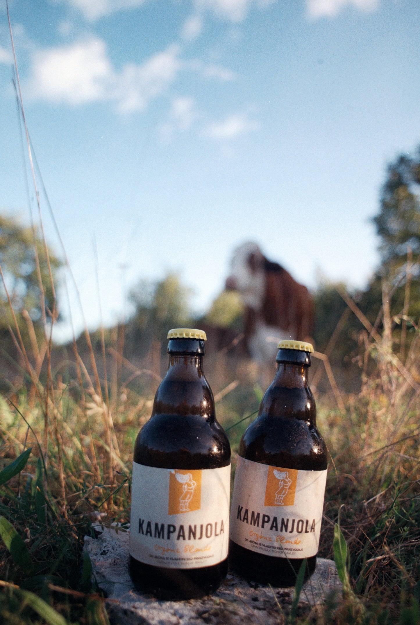 Organic Ale / Svitla