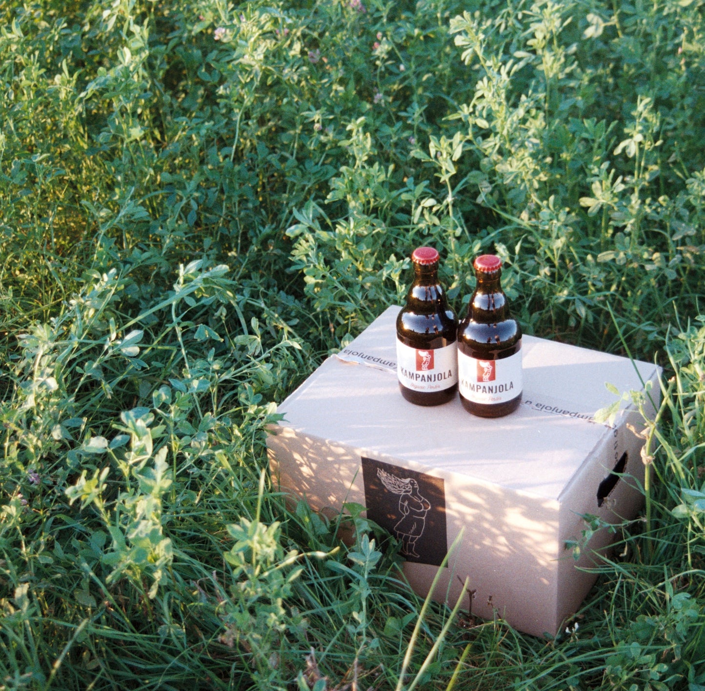 Organic Porter / Škura