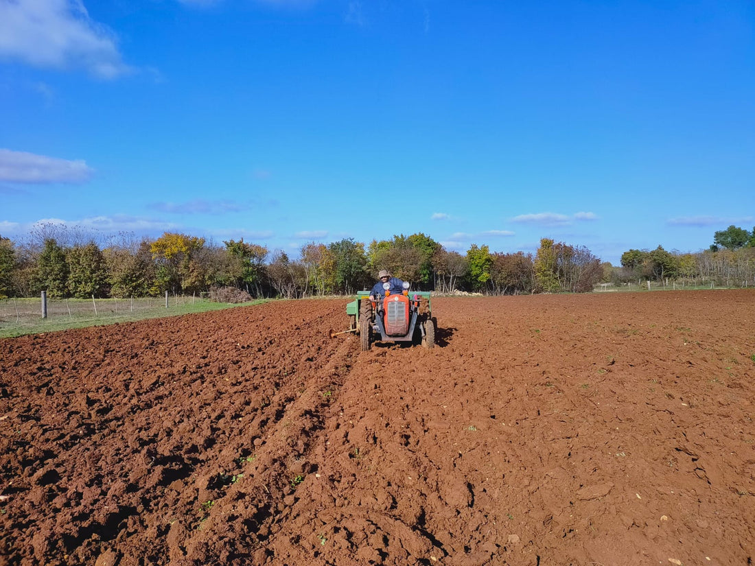 Kampanjola je jedino hrvatsko craft pivo od ječma iz vlastite proizvodnje