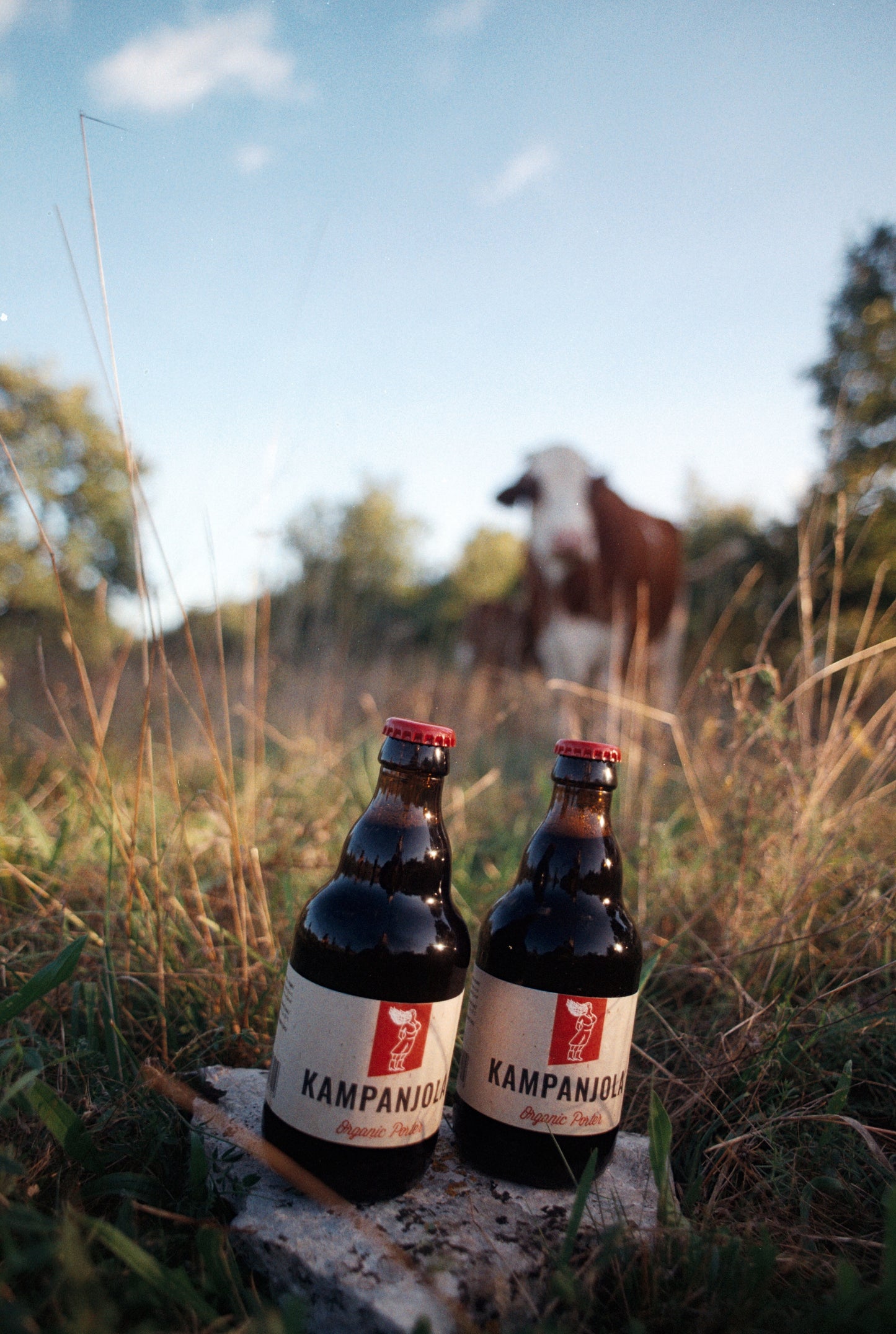 Organic Porter / Škura