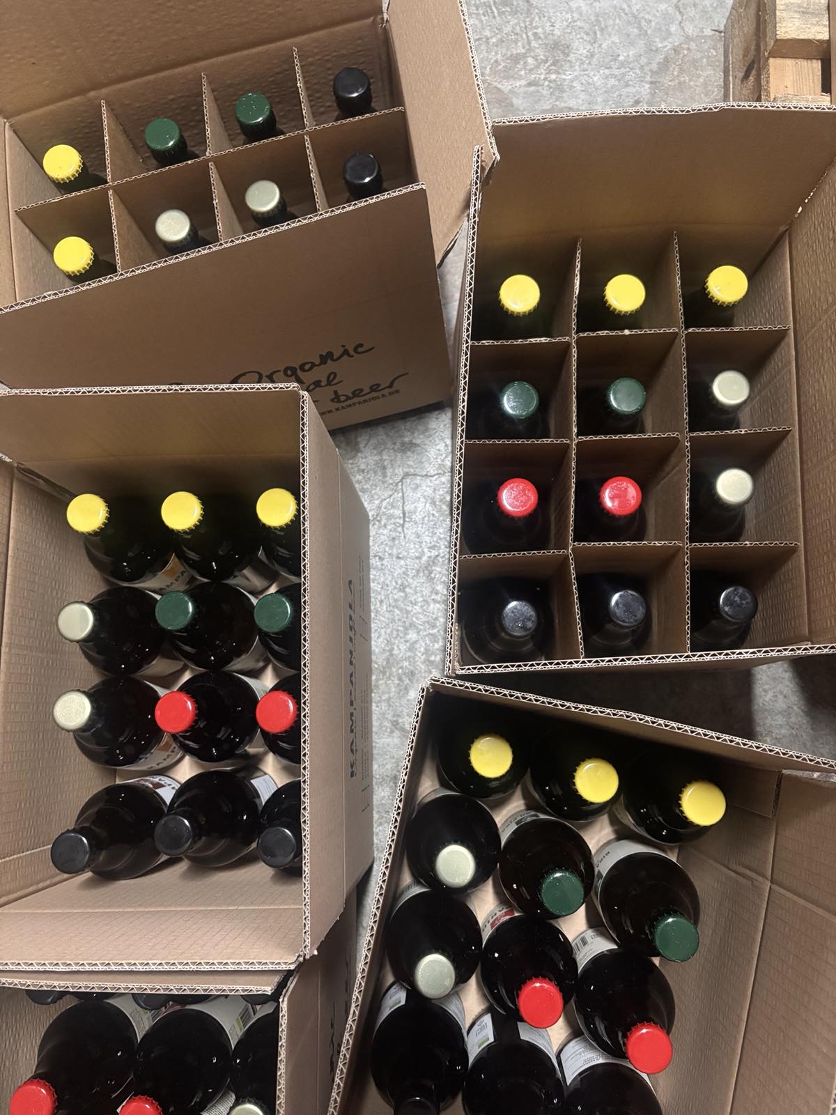 Kampanjola škatula od 12