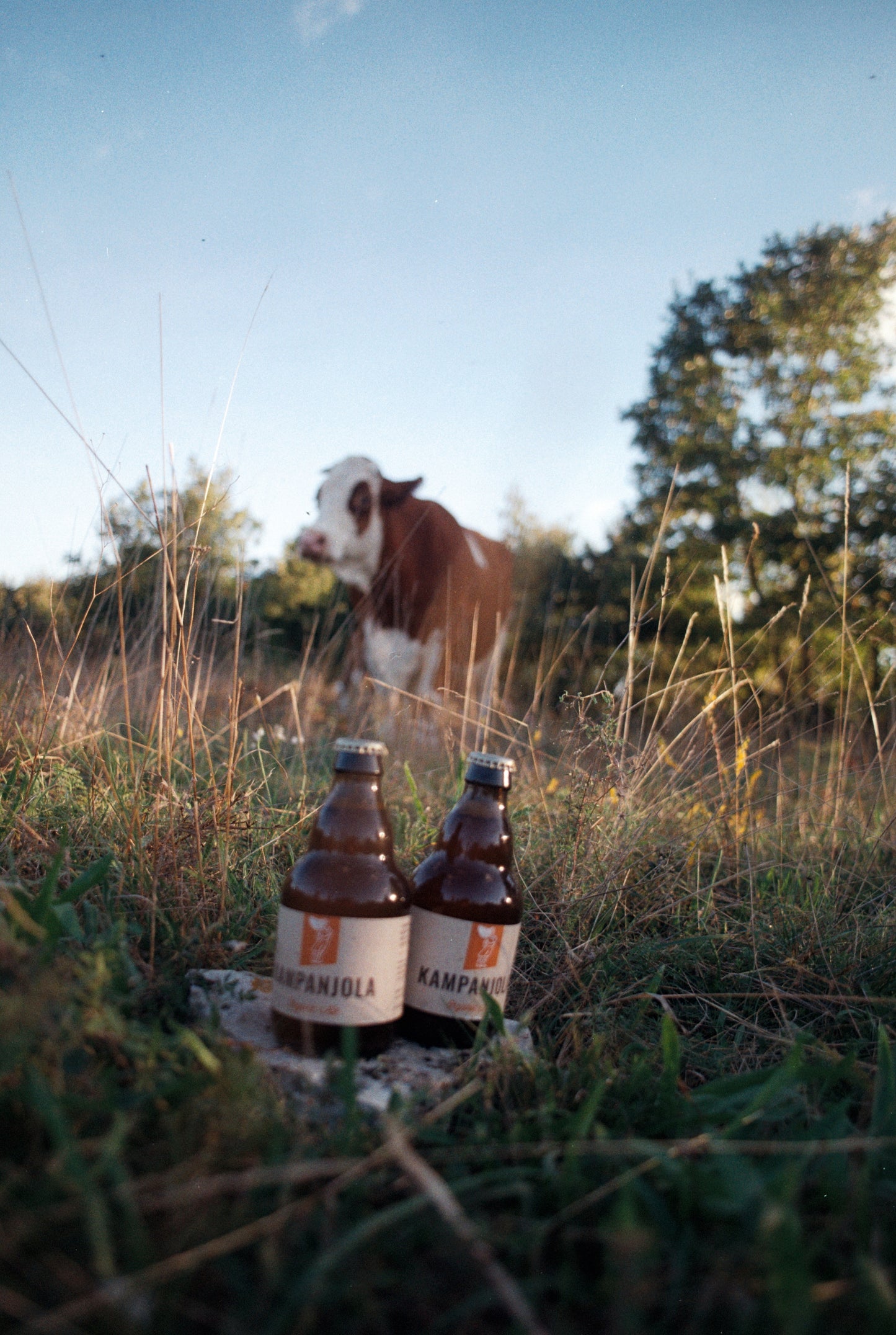 Organic Ale / Svitla