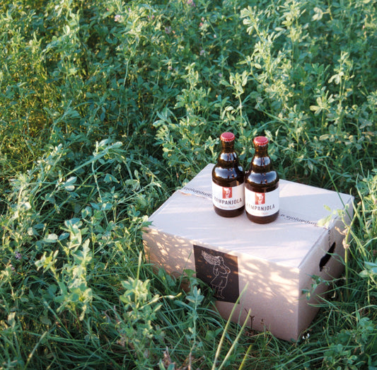 Organic Porter / Škura